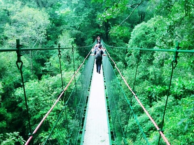 Kebun Raya Cibodas wisata Cibodas